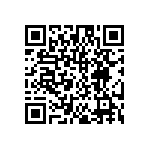 DW-03-16-T-S-295 QRCode