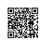 DW-04-07-G-S-300 QRCode