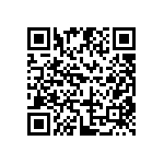 DW-04-17-T-S-213 QRCode