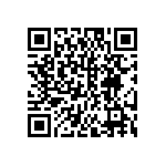 DW-05-13-L-D-787 QRCode