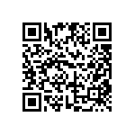 DW-06-13-T-D-930 QRCode