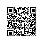 DW-12-13-G-S-935 QRCode