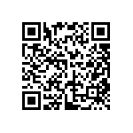 DW-13-09-T-S-395 QRCode