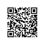 DW-13-13-T-Q-450 QRCode