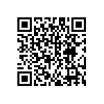 DW-20-13-G-S-925 QRCode