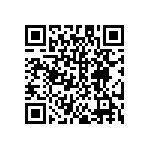 DW-20-13-T-S-787 QRCode