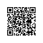 DW-40-13-T-S-787 QRCode