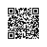 DW-41-13-F-D-965 QRCode