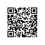 DW-49-13-F-S-935 QRCode