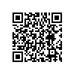 DWM-12-01-T-S-250 QRCode