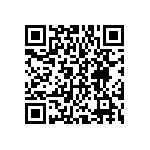 DWM-13-01-T-S-250 QRCode