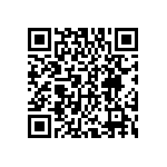 DWM-24-01-T-S-250 QRCode