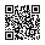 E101SYZQE QRCode