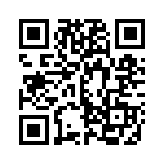 E3F3-T86M QRCode