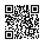 E60401500000G QRCode