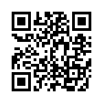 EP4CE22E22C7 QRCode