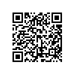 ESQT-102-02-G-D-317 QRCode