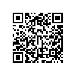 ESQT-110-02-G-Q-386 QRCode