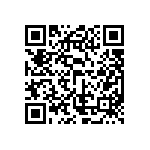 ESQT-133-02-H-D-309 QRCode