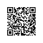 EW-06-11-T-S-450 QRCode