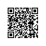 EW-08-09-T-S-300 QRCode