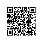 EW-17-09-T-S-300 QRCode