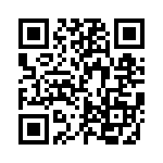 FCC17E09AD2E0 QRCode