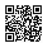 FCE17E09PA65B QRCode