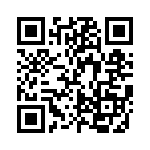 FCE17E09PA69B QRCode