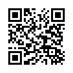 FL3T15 QRCode