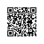 FW-04-03-L-D-313-065 QRCode