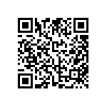 FW-04-04-F-D-250-250 QRCode