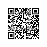 FW-06-04-FM-D-382-275 QRCode