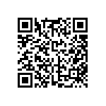 FW-13-04-L-D-538-169 QRCode