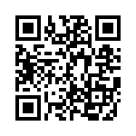 GBM22DSEI-S13 QRCode