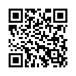 GEC17DREI-S13 QRCode