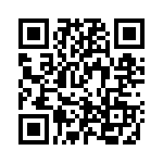 H-38-11 QRCode