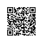 HE30806T1304PA7M QRCode