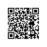 HE30806T1911PA7M QRCode