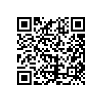 HSCSSNN100PDAA5 QRCode