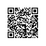 ICE2B765P2BKSA1 QRCode