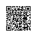 JT06RE12-98P-386 QRCode