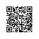 JW-13-04-T-S-450-250 QRCode