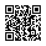 KJB6T13W8BN QRCode