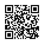 L-07C12NKV4T QRCode