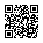 L-07C30NJV6T QRCode