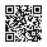 L17159906 QRCode