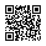 L17529 QRCode