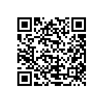 L17DM5374220175 QRCode