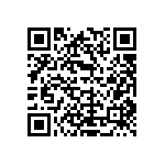 L17DM53744217C309 QRCode